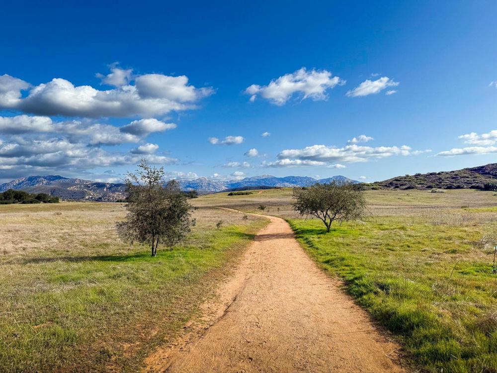 A scenic walking path in Ramona featuring two trees on a grassy landscape and a mountain range in the background